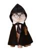 Internet Celebrity Cat Pet Dog Harry Potter Magic Cloak Academy Dog Cape Small Dog Pet Shawl