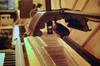 sE Electronics guitaRF Acoustic Treatment Device for Musical Instruments []