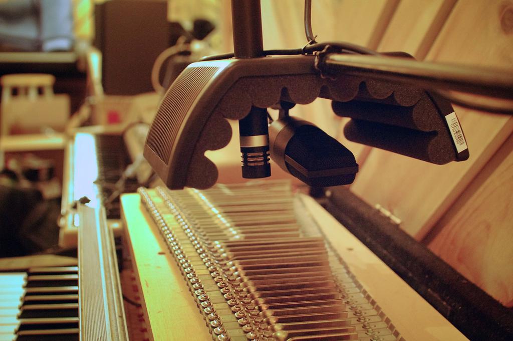 sE Electronics guitaRF Acoustic Treatment Device for Musical Instruments []