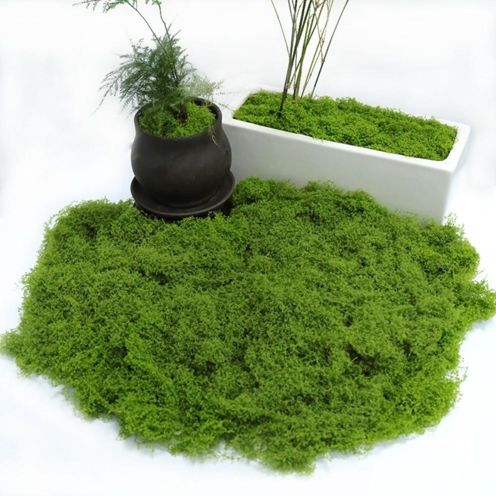 Realistische Textur Künstliche Moospflanzen DIY Basteln Simulation Grünes Moos Bonsai