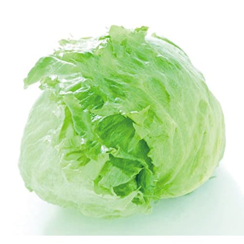 Pearl Metal Vegetable Drainer/Salad Spinner, Green, Just Right C-8492