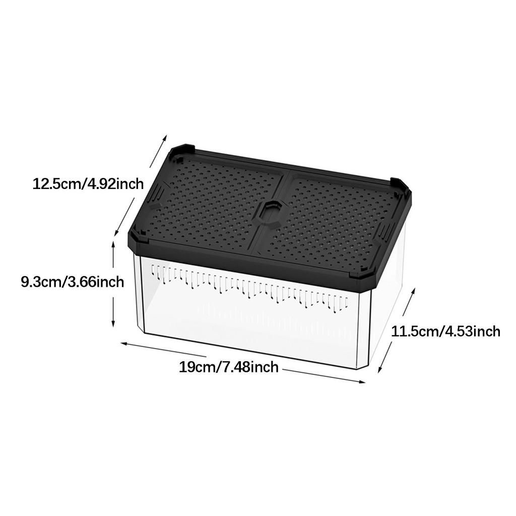 Reptile Enclosure Terrarium Transparent Reptile Breeding Box Animal Habitat Cage for Turtle Scorpion Pet Hatching Container