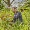 Ciseaux de jardinage - GARDENA - EasyCut - Lames en acier - Coupe jusqu'à 20 mm - Garantie 10 ans