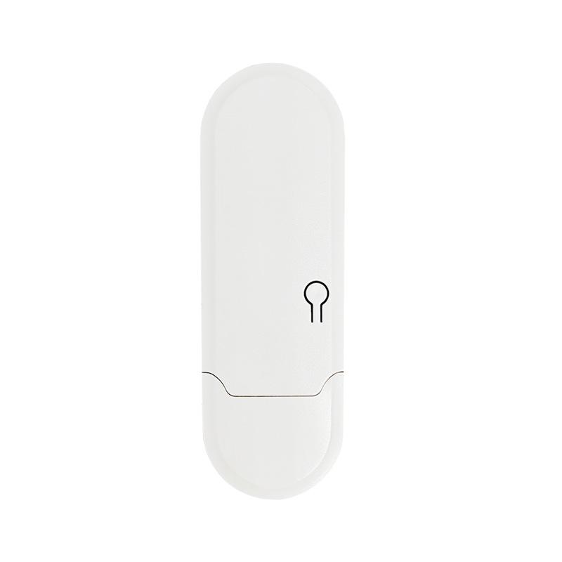 Graffiti Smart WiFi Curtain Motor with Voice Control and Free Track Installation