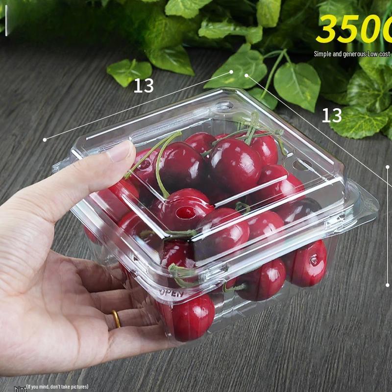 

Shixun Disposable Plastic Fruit Containers