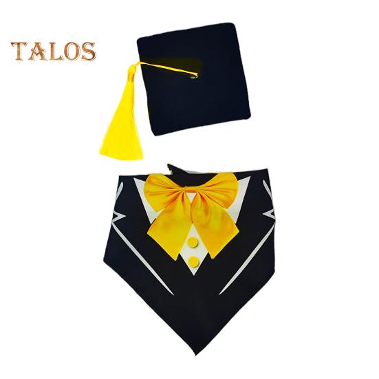 Easter Goose Outfit Graduation Bees Ladybug Clothes Set for Standard Lawn Goose 23" Spring Summer Happy Easter Bunny Porch Goose Sign Garden Home