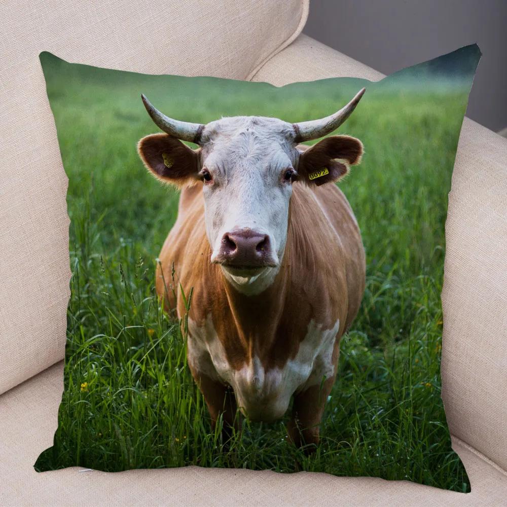 Scotland Kyloe Pillow Case Decor Wild Cow Colorful Animal Print Pillowcase Soft Short Plush Cushion Cover for Home Sofa 45x45cm