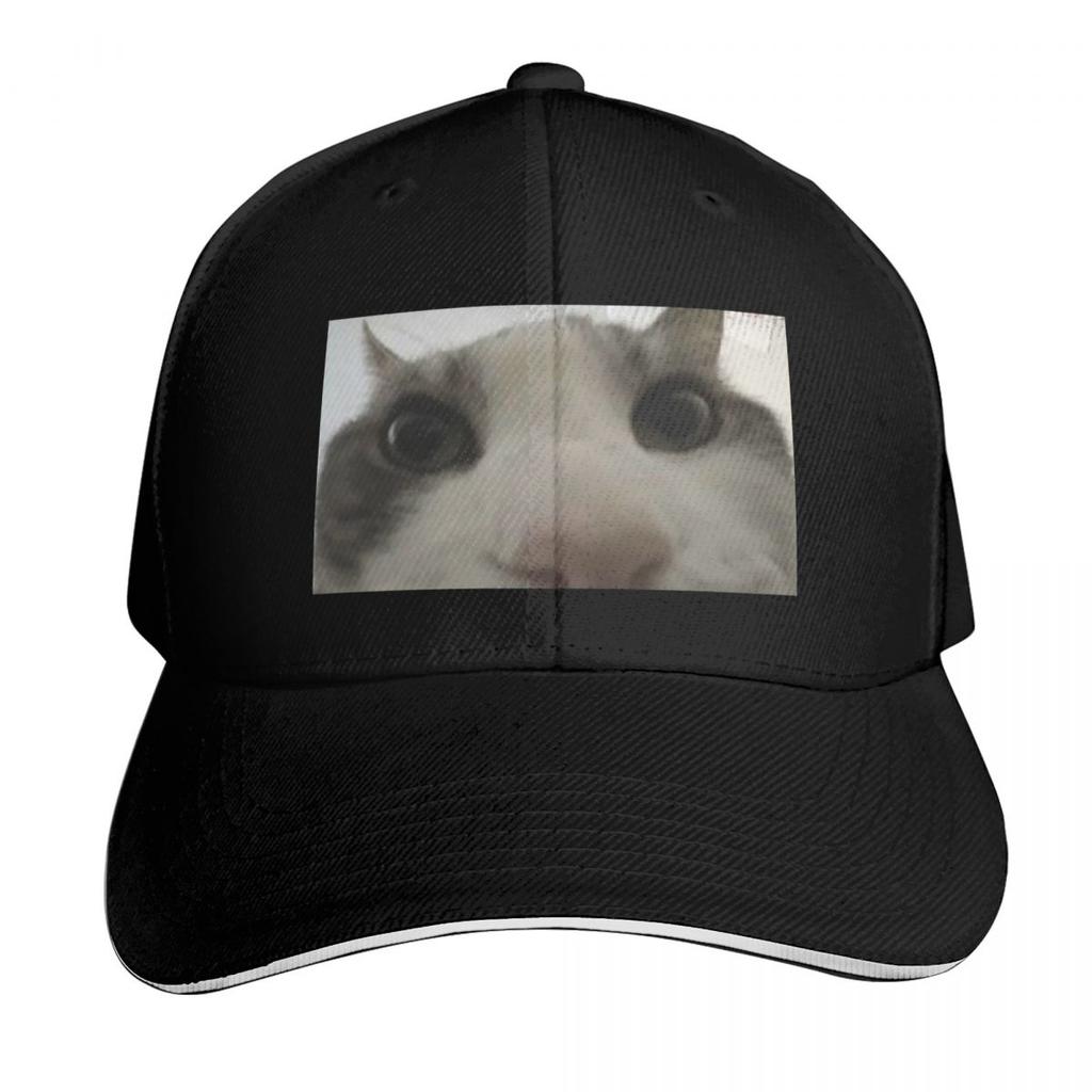 Cat looking inside box meme Baseball Cap party Hat Unique hats Sports Cap fun hats Hats Women Unisexs