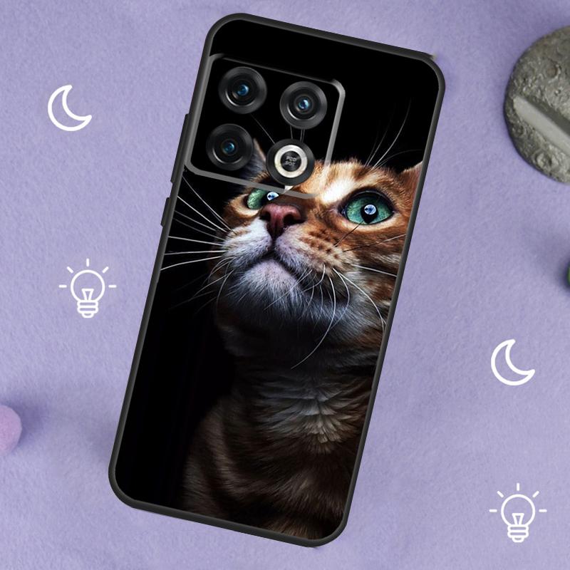 Cat Staring Eye Case For OnePlus 13R 12R 10R 13T 15 13 12 11 8T 10T Nord CE 4 3 2 Lite N20 N30 Nord 5 Cover