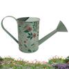 Plant Watering Can Retro Long Spout Spraying Pot 2L Iron Watering Can for Indoor Plants Garden Irrigation Watering Bottle