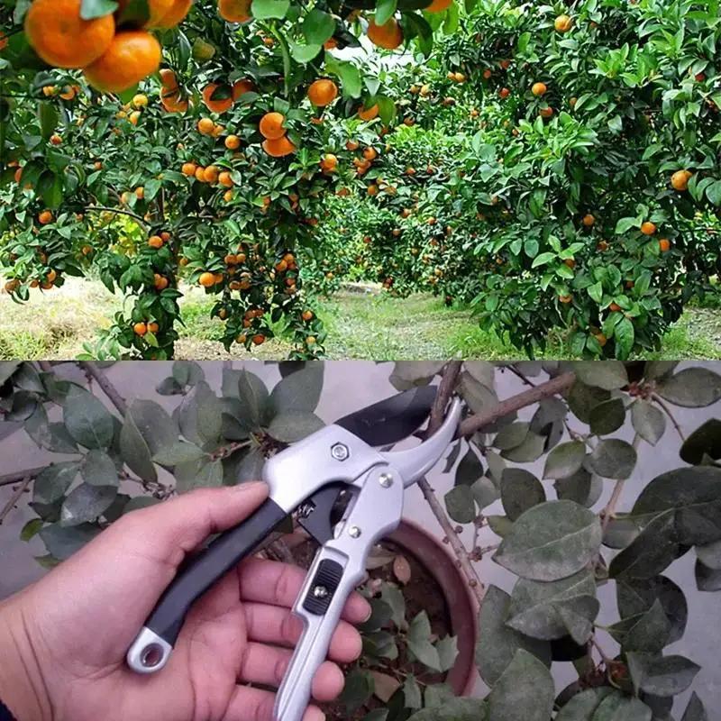 New Garden Pruning Shear Tools Carbon Steel Bonsai Pruners Tree Flower Labor-saving Fruit Branch Scissors Household Easy Pruners