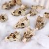 20 Pcs Dragon Skull Miniatures Mini Resin Dragon Skull Heads Decorative Dragon Skull Vase Fillers for Potted Plants Aquarium Garden Landscaping
