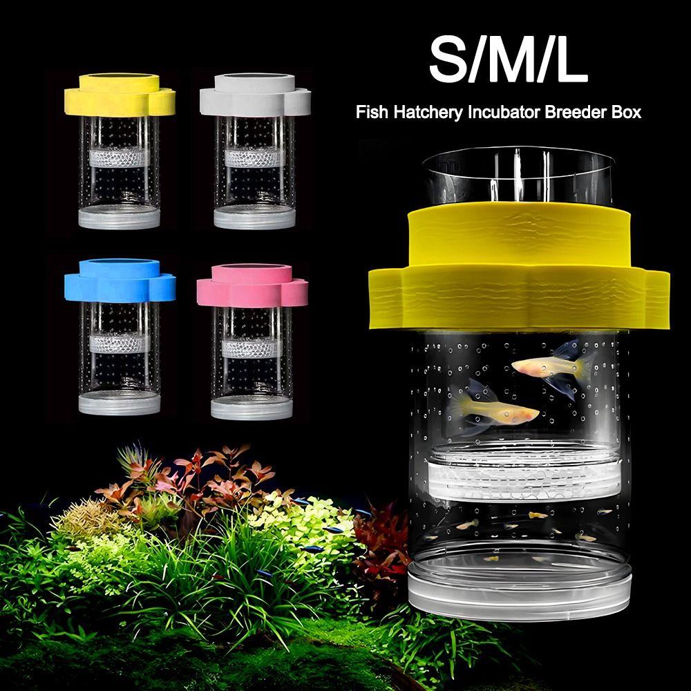 Plastikowe Pudełko Izolacyjne do Rozrodu Ryb Krewetki Gupiki Wylęgarnia Ryb Inkubator Pudełko Hodowlane Akwarium