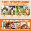 Flea and Tick Prevention for Dogs Chewables - Natural Dog Flea and Tick Treatment Chewable - Oral Flea Supplement for Dogs - Puppy Flea Support - All