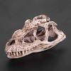 GOTOTOP Dinosaur Skull Model, Dinosaur Skull Model Simulated Animal Skeleton Lifelike Teaching Skeleton Model for Home Office Aquarium Bar Party