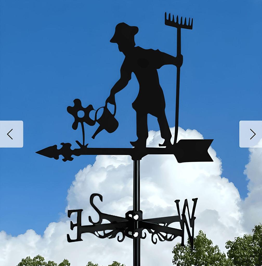 Decorative Iron Weather Vane - Outdoor Metal Roof Ornament