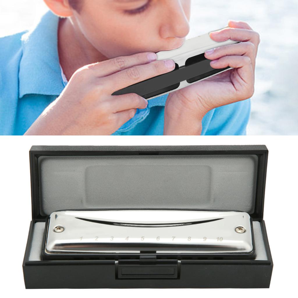 Blues Harmonica 10 Holes Mouthorgan D Key Stainless Steel ABS Resin Wind InstrumentBlack