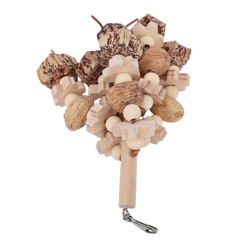 Wooden Parrot Chewing Toy Boredom Relieving Nuts Hanging Bird Foraging Chew Toy for Parrot Cage