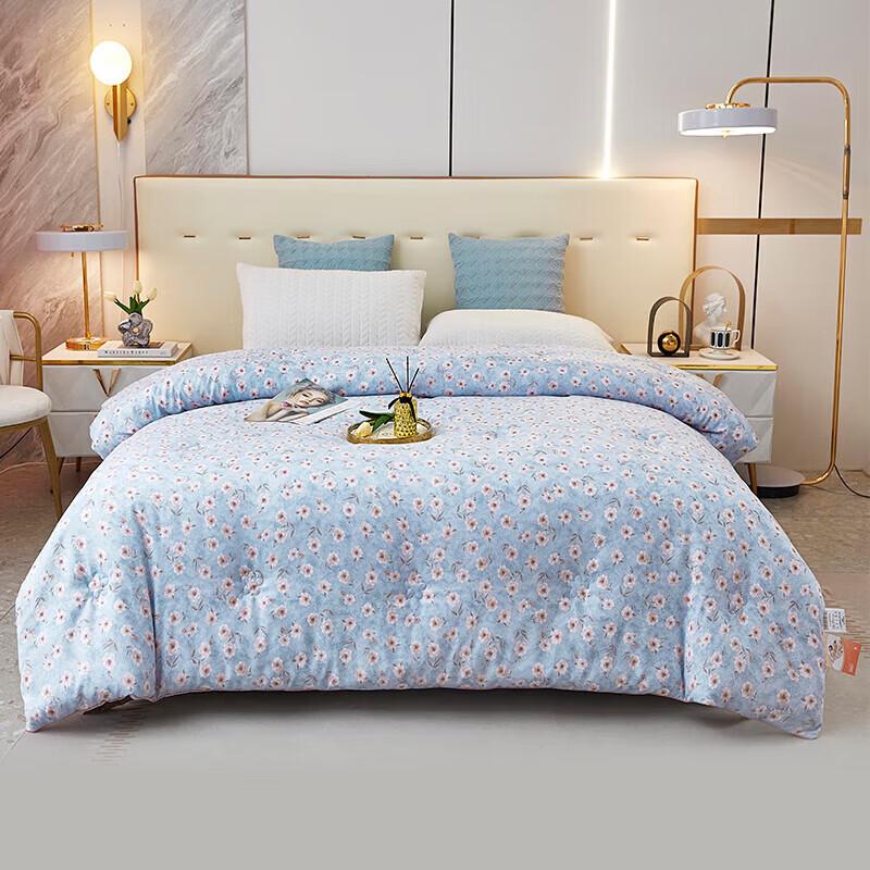 

Tangna All-Season Super Soft Seven-Hole Fiber Quilt