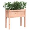Plant Pot with Legs 70 X 31 X 70 Cm Solid Douglas Fir Wood