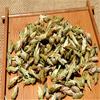 100g Specials Organic Loose White Tea Pu Er Buds Wild Pu'er Tea China Puerh Raw