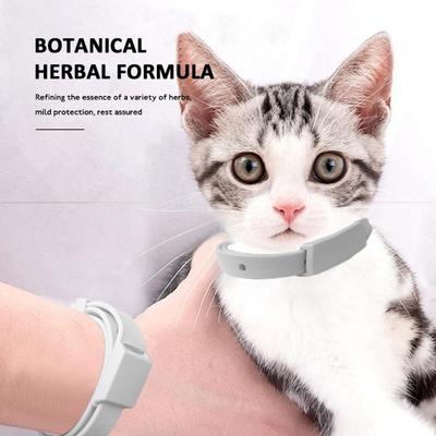 Guler pentru purici pentru animale de companie Guler împotriva țânțarilor pentru pisici Guler pentru purici pentru animale de companie Guler pentru purici pentru câini in vitro
