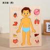 Children's Early Education Characters Body Organ Structure Cognitive Puzzle Brain Multi-Layer Development Wooden Toys
