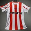 25/26 Nouveautés Cracovia T-shirt Adulte Hommes et Femmes Maillots de Football Maillots de Football Fans de Football Polonais Maillot Spécial
