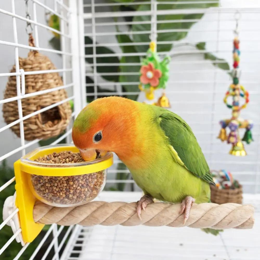 Wear-resistant Bird Cage Feeder Interactive Non-slip Bird Feeding Cup Paw Grinding Bird Perch Stand Pet Bird Supplies