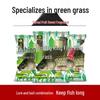 Fishing King Universal Bream & Carp Bait Set - Green Grass Spring Formula