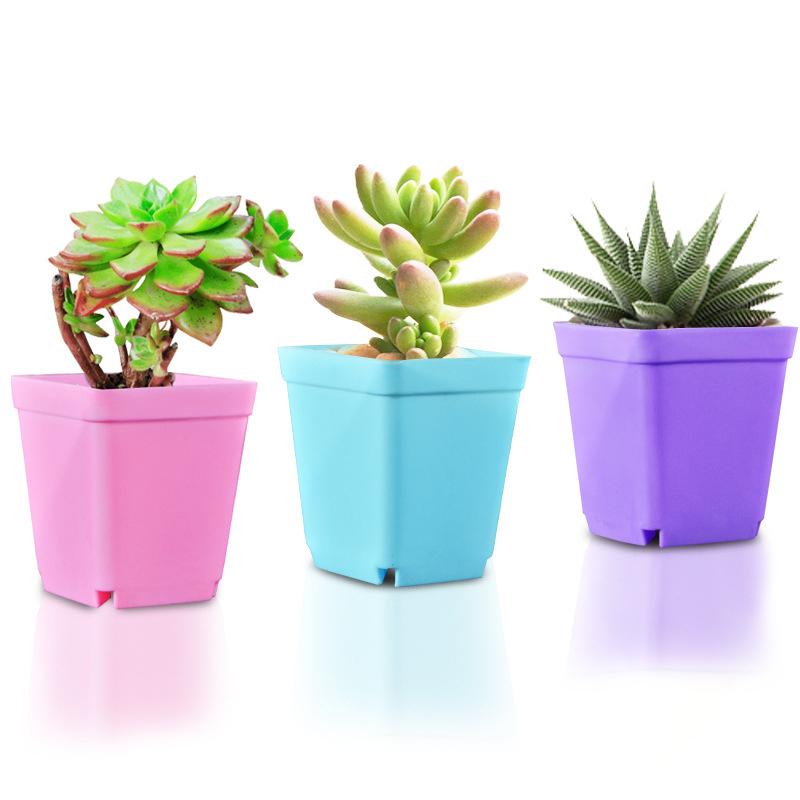 10/20pcs Mini Succulent Pot Seedling Tray Square Pot Flower Pot Little Color Square Plastic Pot Seedling Tray Gardening TMZ