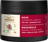 Green Pharmacy Hair Mask for Dry and Damaged Hair Pomegranate and Argan Oil 300 Ml