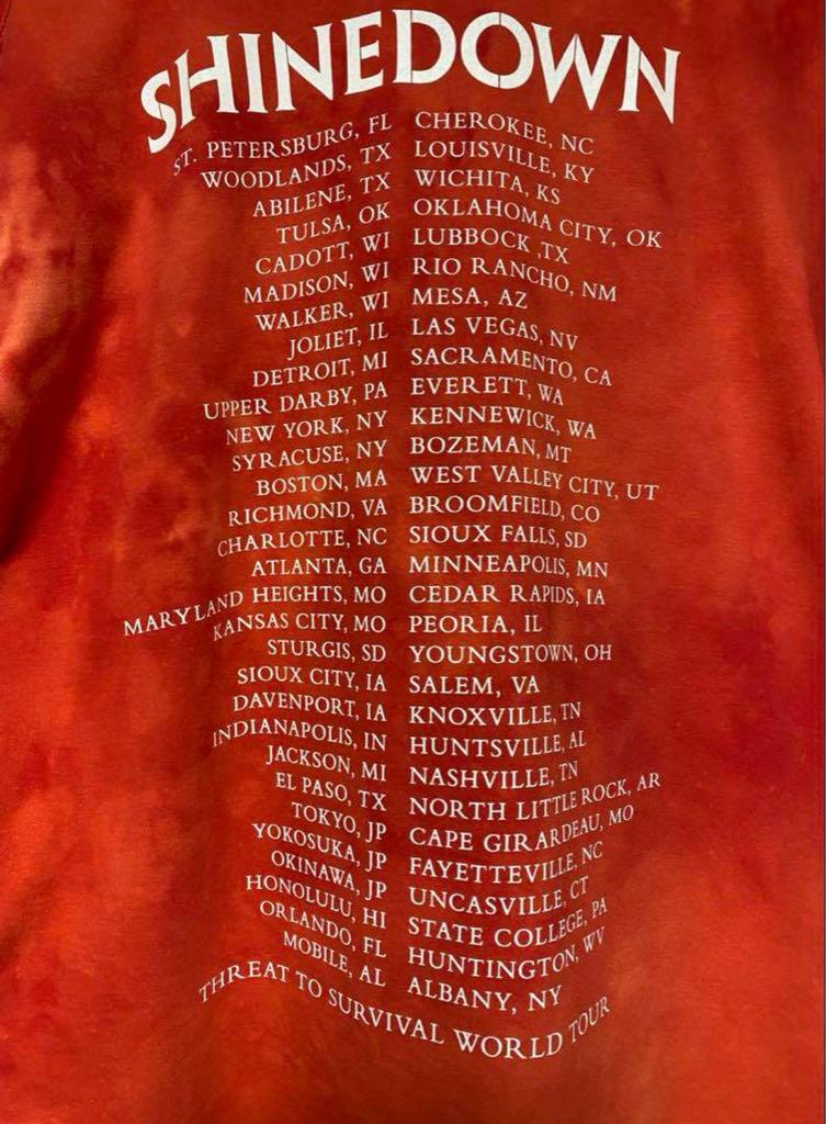 [USED] SHINEDOWN band t-shirt 00s tour t-shirt