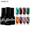 kads 9.5ml 3D Cat Eye Nail Gel Polish UV Gel Nail Polish Glue Gel Lacquer Top Coat Varnish Manicure Nail Art Lacquer