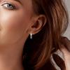 Trend Earrings 925 Silver Luminous Iridescence Zircon Unicorn Brush Earrings Jewelry Women Earrings Designer