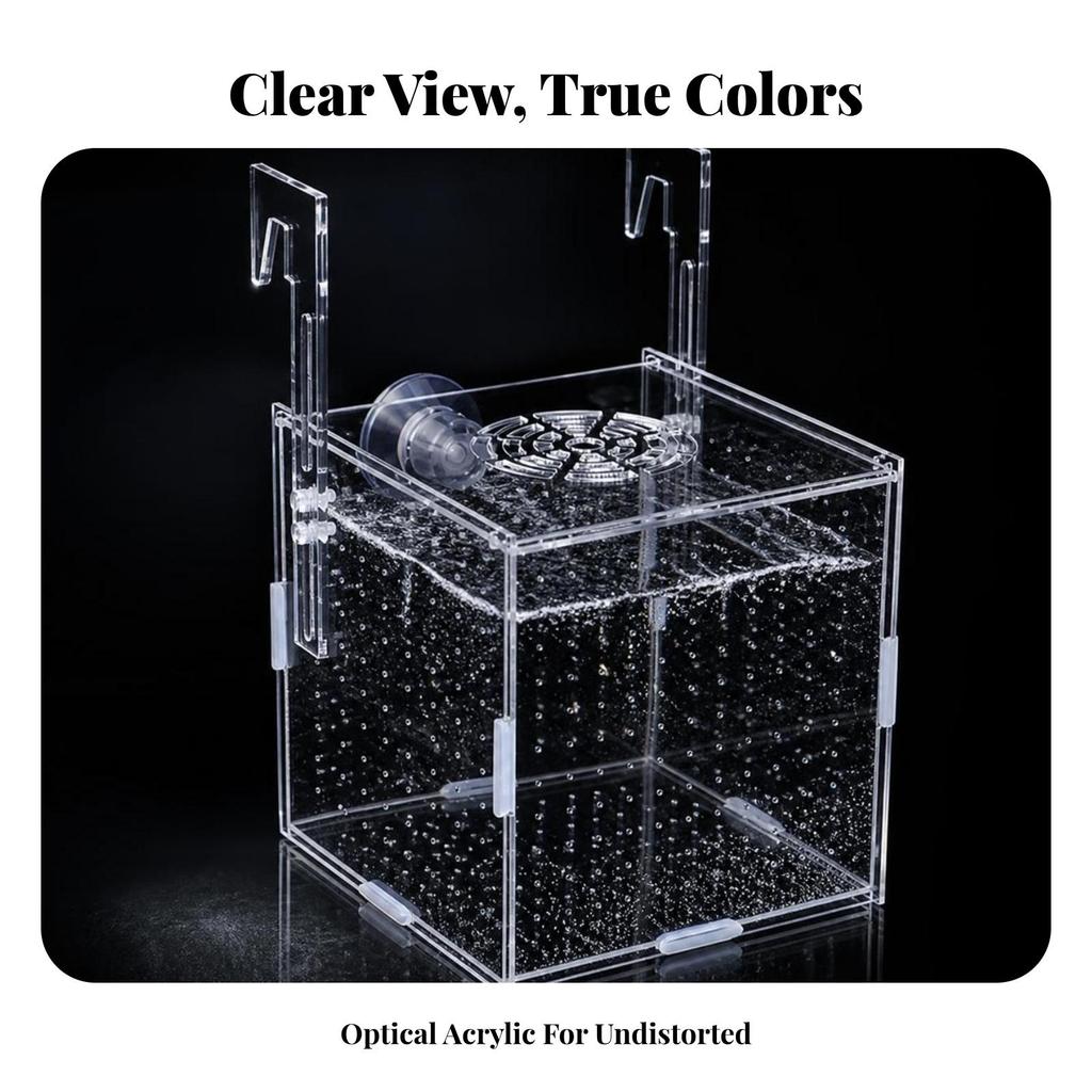 Aquarium Accessory Transparent Separation Box with Suction Cups Compact