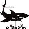 Weather Vane Ornament: Outdoor Wrought Iron Spray-Painted Roof Decoration Metal Craft