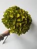 Multi-Color Preserved Bigleaf Hydrangea Single Stem Flower Bouquet for Home Decoration