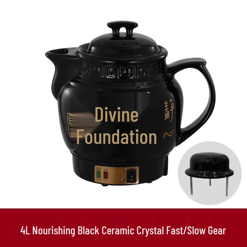 4L Multi-functional Health & Brew Pot