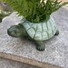 Decorative Turtle Planter Statue Rustic Style Animal Sculpture Succulent Pot  Outdoor Decoration