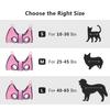 Pet Grooming Hammock Cat Dog Hammock Nail Cutter Hanging Bag Anti-Scratch Bite Medicine Fixing Bag