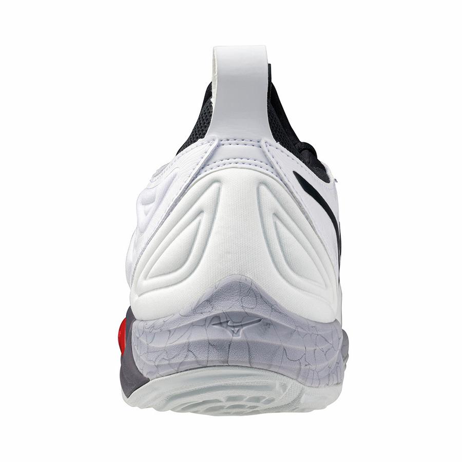 Mizuno Volleyball Shoes White Red and Black Unisex V1GA231296