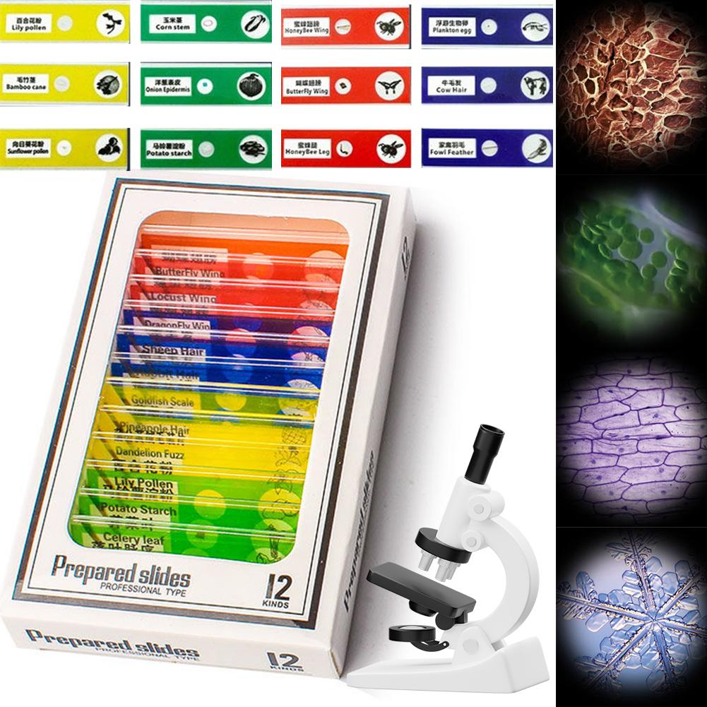 Kid Science Experiment Pocket Microscope with LED Light 60-120x Battery Powered Home School Biological Science Educational Toys