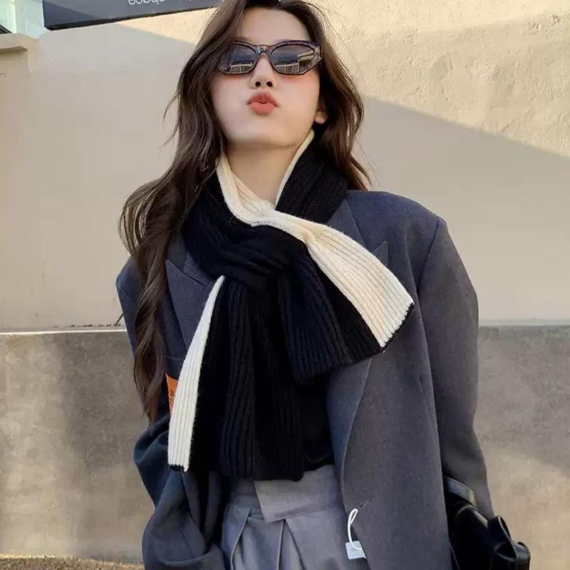 Korean Style Fashionable Casual Color-Blocked Thick Warm Long Scarf For Women