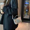 Bag Women's New Niche Designer Silver Dumpling Bag High-end Commuter Portable Messenger Bag