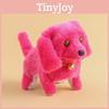 Premium Quality Walking Dancing Dog Toy For Kids With Educational Plush Features
