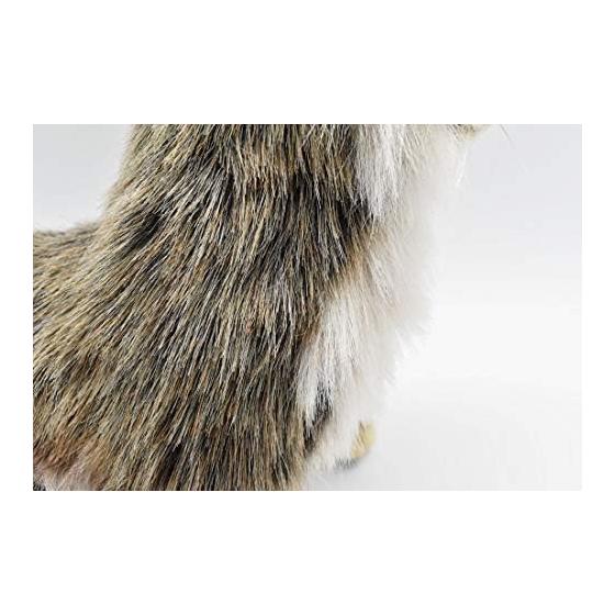 BH4248 HANSA Raccoon 25
