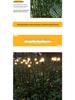 LED Wind-Powered Firefly Lights, 6 or 8 Heads, Outdoor Landscape Decoration for Parks and Streets