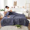 2025 Summer Thin Blanket Printing Bed Quilt Summer Cool Quilt Double Blankets Comforters Skin-friendly Cotton Thin Quilt Soft Bedding Home Textile