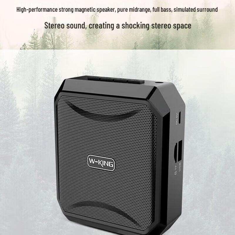 W-King KS01 Portable Voice Amplifier